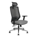 Tiegan Executive Manager Office Chair