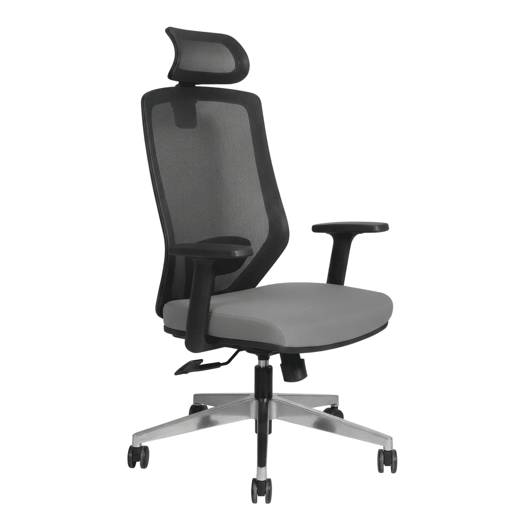 12 Tiegan Executive Manager Office Chair - Image 1