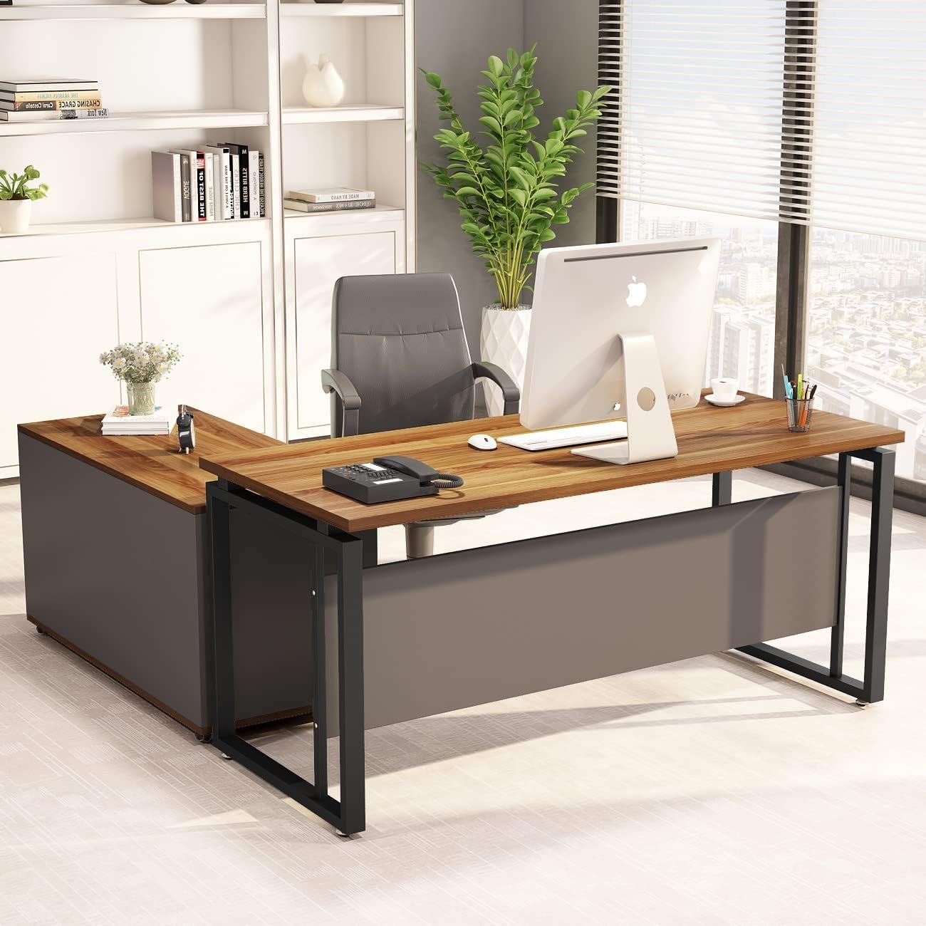 251 Titan Executive Desk with Storage Cabinet - Image 1