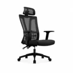 BlackFlex Ergonomic Office Chair
