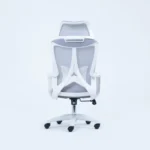 Ergo Pro Staff Chair