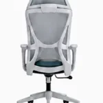 Apex Meeting Chair