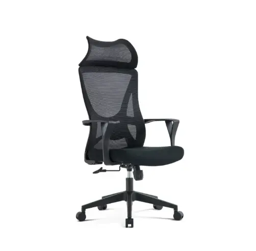 2145 Executive Mesh Office Chair - Image 1