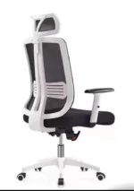 Premium Ergonomic Office Chair