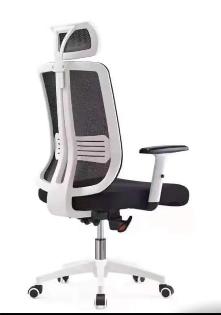 Chair-N Premium Ergonomic Office Chair - Image 1