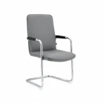 Modern Gray Chrome Cantilever Chair
